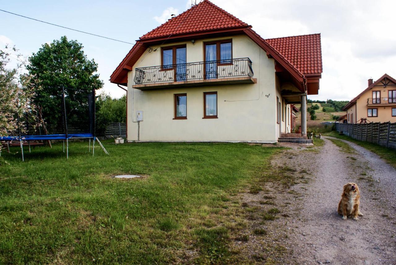 Agroturystyka U Aleksa Krajno-Zagorze Ngoại thất bức ảnh